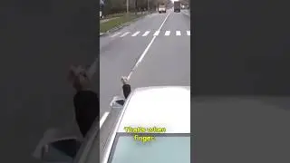 DON'T GIVE A TRUCKER THE MIDDLE FINGER #instantkarma #roadrage #roadragecase #dashcam