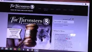 How To Ship Furs To Fur Harvesters Auction