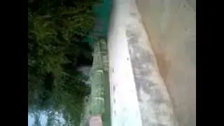 Hazrat Haam A.S.(75 Feet long grave)