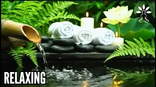Relaxing Nature Sounds 🌿 Bamboo Water Fountain for Deep Sleep, Meditation & Stress Relief