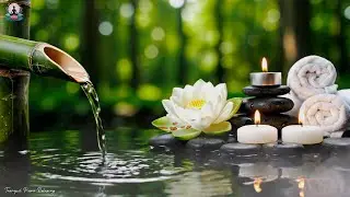 Relaxing Music to Calm the Mind 🌳 Stop Thinking Too Much, Reduce Anxiety, Stress & Fatigue, Sleep