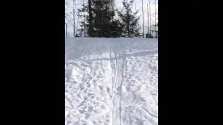 Joutsa Sledging March 2016