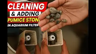 Cleaning My Aquarium & Upgrading Filter with Pumice Stone | Crystal Clear Water.