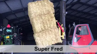 Meijer Holland | Super Fred