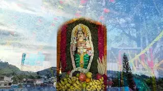 #bisonvalley #kerala #temple BISON VALLEY ESTATE | KERALA