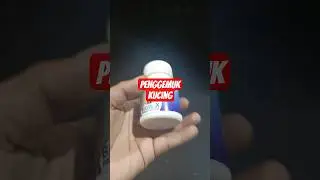 big max vitamin kucing #bigmax #vitaminkucing #shortvideo
