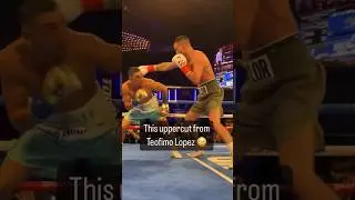 This uppercut was perfectly landed by Teofimo Lopez | Lopez vs Taylor