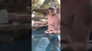 Great Pool Hack .. #diy #swimmingpool #hacks #algae #poolcleaning #shorts