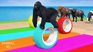 Spider Man with Elephant Gorilla Cow Tiger buffalo Wild Animals Games
