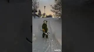 Troms finmark