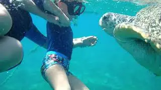 Snorkeling in Safaga, Egypt. October 2018.