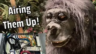 Airing Up The Rainforest Cafe Animatronics!