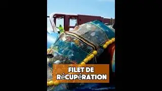 Filet de recyclage#Science populaire
