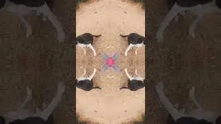 хайайа открих на ютуб филтърсбитата🌠🐿️👑#explore#youtube#filters#inlove#with#ur#mom🇧🇬&hearts;️