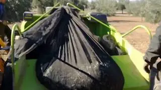 RECOGEDOR DE MANTOS,LIENZOS,FARDOS PARA ACEITUNA O ALMENDRA