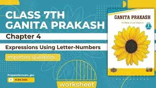 Important Questions✅ || Expressions Using Letter Numbers ||Chapter 4 || Class 7th || Ganita Prakash 