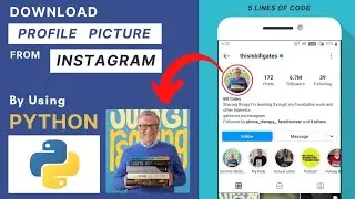Download Profile Picture from Instagram By Using Python | Mini - Project