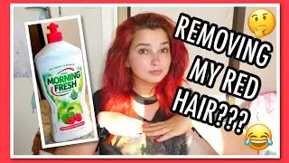 Using Dishwashing Liquid to Remove my Red Hair | Cerise1307 |