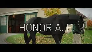 HONOR A. P. - LANE'S END