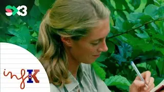 Adeu a Jane Goodall | InfoK