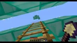 King of the ladder!
