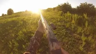 Public Land Dove Hunt - Florida WMA