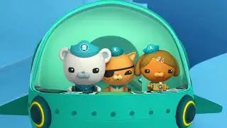 30 Min Octonauts Sea Cartoon ❄️ Important Missions, In Cold Water ❄️ Octonauts Cartoon For Kids