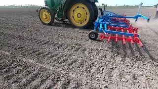 Rottura crosta superficiale sul mais con strigliatore