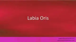 Pronunciation of the word(s) 
