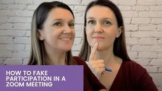 JUST FOR FUN - How to fake participation in a Zoom meeting