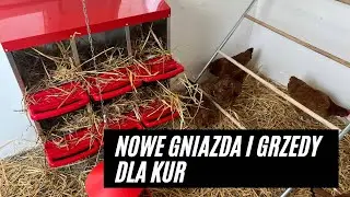 Gniazda dla kur, grzędy. Nowe wyposażenie kurnika. Jakość towaru z Temu