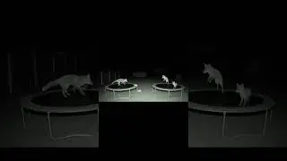 Family of Foxes Jump on Backyard Trampoline at Night - Stunning CCTV Footage