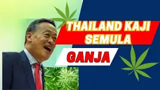 Manfaat Ganja: Kaji Semula di Thailand
