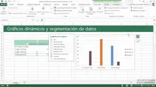 21 Graficos dinamicos y segmentacion de datos en Excel