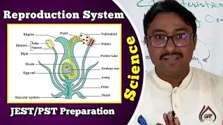Reproduction System  | JEST/PST Science Preparation | STBB | Sindhi Thoughts