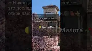 #никогда не теряй терпения🥀