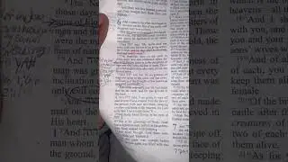 Let&rsquo;s INCREASE!!   Scripture reading. Genesis chapters 4-7