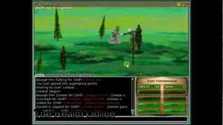 Top 10 oldest MMO games
