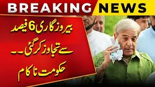 Unemployment Crosses 6% in Pakistan | Government Failing to Deliver? | Public News