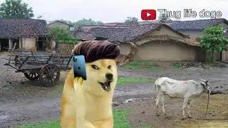 5 time tested condam doge meme call recording                              #cheems #dogememes 