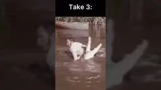 James Bond Used Real Crocodiles IN This Stunt! 🐊🐊 #jamesbond #crocodiles #movies #jamesbondmovies