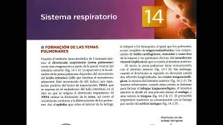 Podcast: Resumen Capítulo 14 – Sistema Respiratorio | Langman 15ª Ed.