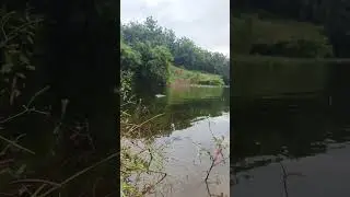 jangan skip ‼️‼️tarikan yang ini berbeda kawan⁉️#fishing #mancing #mancingnila #nilaliar