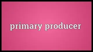 Primary producer Meaning