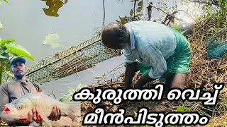 കുരുത്തി വെച്ച് മീൻ പിടിക്കുന്നത് | Fish strap box | fishing video ￼