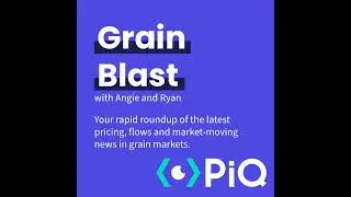 Grain Blast - 10th December: USDA Surprise - Corn Exports Jump and Markets React