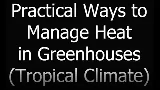 Practical ways to manage heat in greenhouses