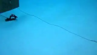 Speargun....Invisible