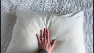 Honest Review of the Blissy Silk Pillow Case