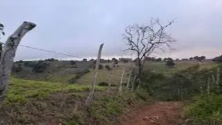 Lindo amanhecer nu nordeste baiana 